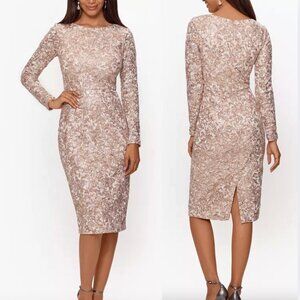 NWT XSCAPE Sequin & Lace Dress Evening